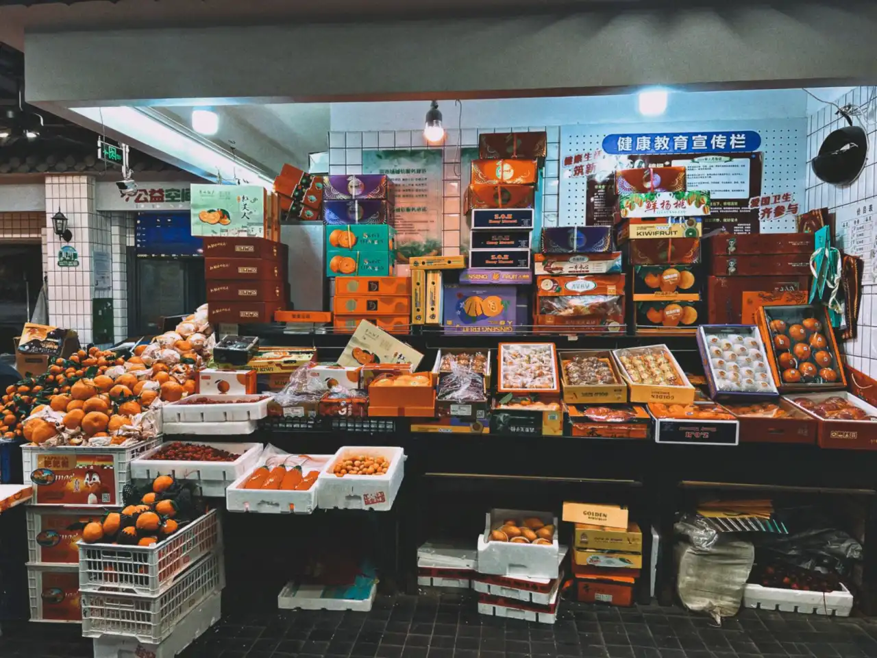 细胞培养板与培养皿选型对比:诺泰科耗材适配不同实验场景