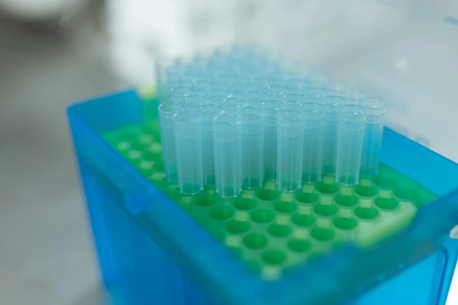 细胞培养板与细胞培养皿的选择要点:为苏州生物医药实验提供稳定支持