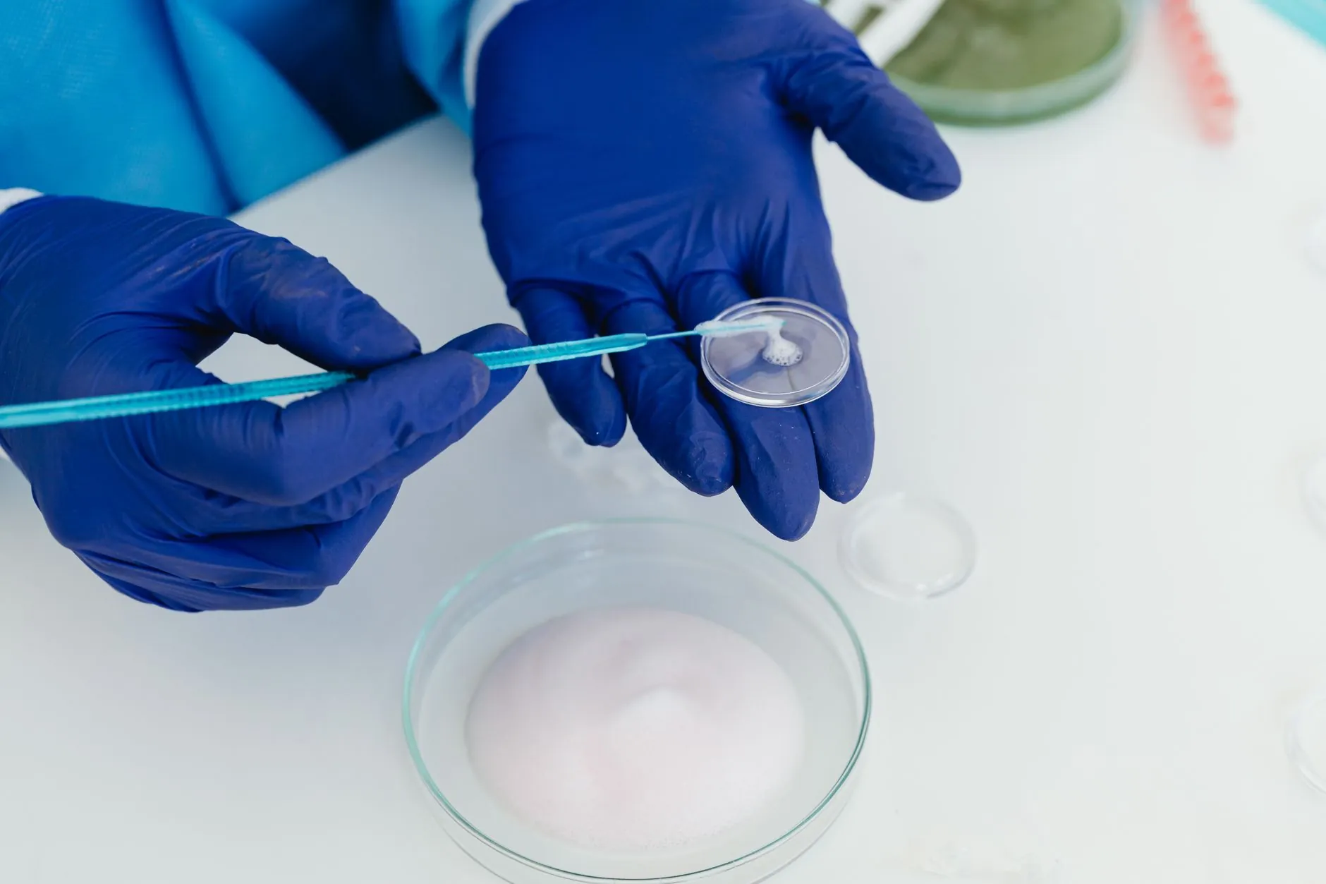 细胞培养板与细胞培养皿的选择要点:为苏州生物医药实验室提供专业建议
